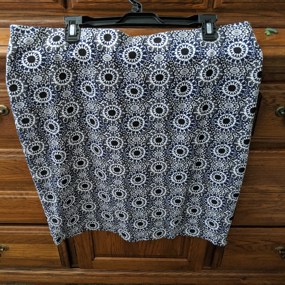 Ann Taylor skirt